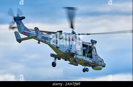 AgustaWestland AW159 Wildcat HMA2 aleggia come winchman disconnette il fast-corda Foto Stock