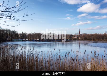 Umore invernale sul lago Haussee Foto Stock