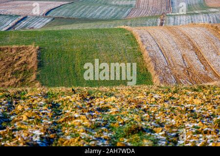 Coltivate i campi agricoli come modello astratto in autunno il tramonto. Colorata campagna patchwork Foto Stock