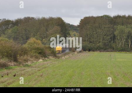 Un treno merci vicino Northrepps sulla linea per Cromer e Sheringham, Norfolk nord, Inghilterra, Regno Unito Foto Stock