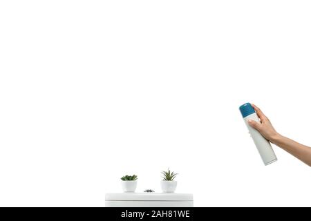 Vista ritagliata della donna la spruzzatura profumatore vicino a pulire in ceramica tazza igienica con piante isolato su bianco Foto Stock