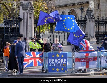 Westminster, Inghilterra, Regno Unito. Il 30 ottobre 2019. Rimangono i manifestanti di fronte alla House of Commons sventolare la bandiera dell'UE, con revoca di segno Foto Stock