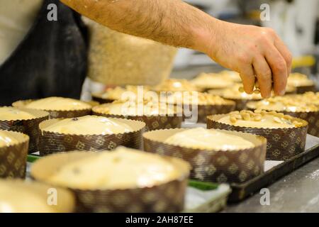 Chef pastoso chef adulto forte preparare e decorare panettone per la cottura , un dolce pane natalizio tipico di Milano Foto Stock