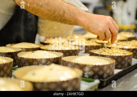 Chef pastoso chef adulto forte preparare e decorare panettone per la cottura , un dolce pane natalizio tipico di Milano Foto Stock