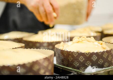 Chef pastoso chef adulto forte preparare e decorare panettone per la cottura , un dolce pane natalizio tipico di Milano Foto Stock