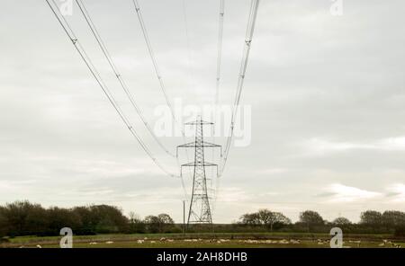 Una fila di piloni di elettricità si dipanano attraverso la campagna nel Regno Unito. Foto Stock