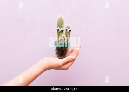 Cactus è divertente con gli occhi. La ragazza tiene una pentola di cactus in mano. Foto Stock
