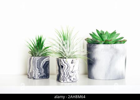 Raccolta di marmo succulente geometrica piantatrici con bellissimo piccolo le piante succulente sul ripiano bianco contro il muro bianco. Lifestyle home decoration Foto Stock