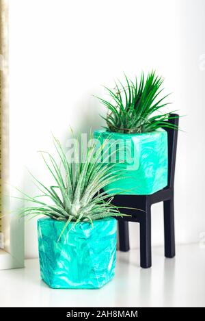 Raccolta di marmo succulente geometrica piantatrici con bellissimo piccolo le piante succulente sul ripiano bianco contro il muro bianco. Lifestyle home decoration Foto Stock