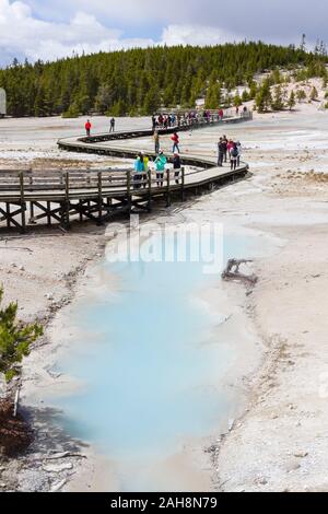 Norris Geyser Basin, il Parco Nazionale di Yellowstone, Wyoming negli Stati Uniti Foto Stock