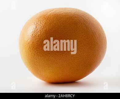 Citrus paradisi frutto isolato su sfondo bianco Foto Stock