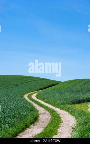 Curva di strada sterrata attraverso il paesaggio agricolo, vicino Aspach, Hausruck trimestre, Austria superiore, Austria Foto Stock