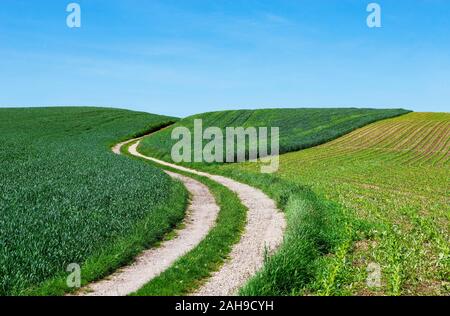 Curva di strada sterrata attraverso il paesaggio agricolo, vicino Aspach, Hausruck trimestre, Austria superiore, Austria Foto Stock