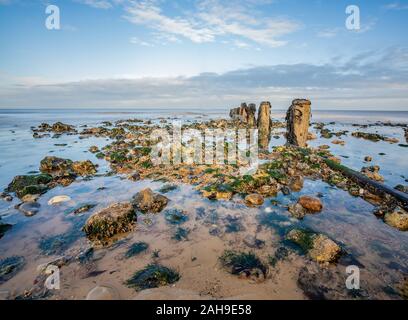 Le alghe rocce coperte accanto al groyne in legno su di una spiaggia di sabbia sulla costa di Norfolk catturata su un luminoso ma inverni freddi giorno Foto Stock