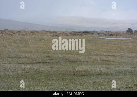 Tempesta di grandine in inverno sul Whitchurch comune, Parco Nazionale di Dartmoor, Devon, Inghilterra Foto Stock