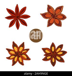 Anice. Vettore disegnati a mano insieme di erbe cosmetici isolati su sfondo bianco. Oli essenziali illustrazione dei componenti. Aromaterapia ingredienti icone. S Illustrazione Vettoriale