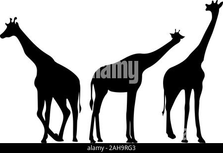 Le giraffe. Silhouette posteriore Illustrazione Vettoriale