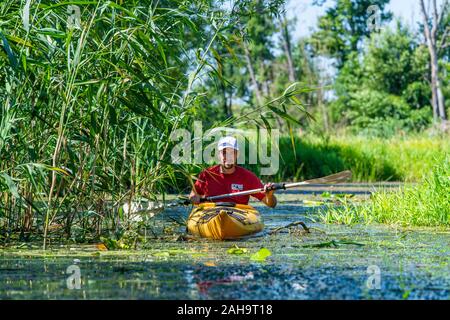 Kayaker canoa sul fiume Sprea tra Fürstenwalde, Hangelsberg e Erkner, Brandeburgo, Germania Foto Stock