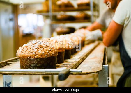 Pasticceria chef cottura dolce panettone torta per la stagione di natale Foto Stock