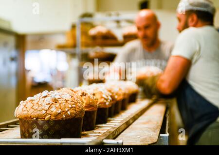 Pasticceria chef cottura dolce panettone torta per la stagione di natale Foto Stock