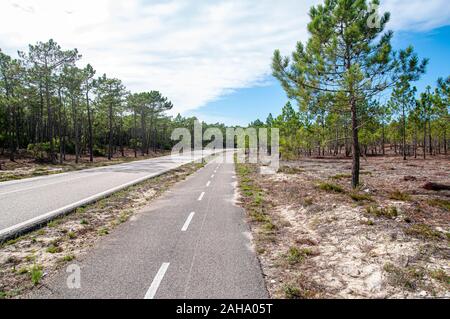 La Eurovelo 1 costa atlantica rotta vicino a Nazar nel Portogallo centrale. Questo percorso ciclabile corre lungo l'oceano Atlantico Foto Stock