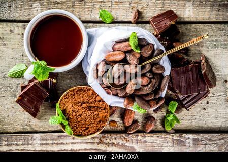 Differenti condizioni di cacao. Vari prodotti di cacao - fave, fagioli, massa, frantumato di cacao in polvere, pasta cioccolato, pezzetti di cioccolato e cioccolata calda in una cu Foto Stock