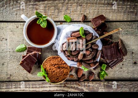 Differenti condizioni di cacao. Vari prodotti di cacao - fave, fagioli, massa, frantumato di cacao in polvere, pasta cioccolato, pezzetti di cioccolato e cioccolata calda in una cu Foto Stock