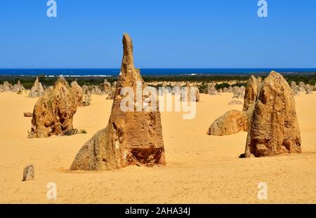 Australia, WA, i pinnacoli in Nambung National Park, preferito di attrazione turistica e il monumento naturale, Oceano Indiano in background Foto Stock