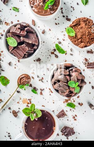 Differenti condizioni di cacao. Vari prodotti di cacao - fave, fagioli, massa, frantumato di cacao in polvere, pasta cioccolato, pezzetti di cioccolato e cioccolata calda in una cu Foto Stock