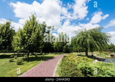 Piccoli cespugli su erba verde nei pressi di alberi e la passerella Foto Stock