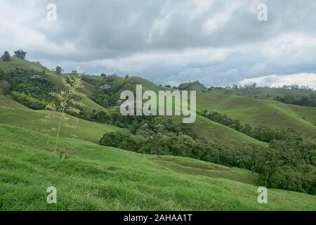 Lussureggiante paesaggio verde in la Caretera "caffè zona' Filandia, Colombia Foto Stock