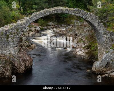 Il vecchio ponte Packhorse date dal 1717, Carrbridge, Cairngorms, Scozia Foto Stock