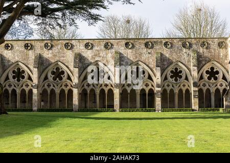 L'architettura ornata dei chiostri gotici archiati, il giardino del chiostro della Cattedrale di Salisbury, Wiltshire, Inghilterra, Regno Unito Foto Stock