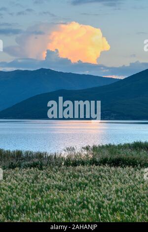 Guardando attraverso i canneti a Mikri Prespa lago al tramonto, Macedonia, Grecia settentrionale. Foto Stock