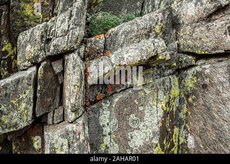 Il Lichen rocce coperte, Ute Trail, Rocky Mountain National Park, COLORADO, Stati Uniti d'America Foto Stock