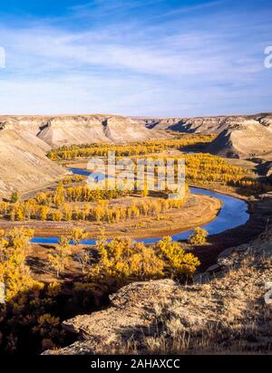 Cottonwoods in autunno a colori lungo il fiume marias vicino a loma, montana Foto Stock