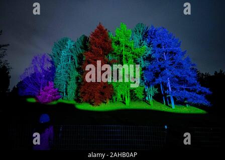 Chicago, Stati Uniti d'America. Il 26 dicembre, 2019. Gli alberi sono illuminate di illuminazione: le luci ad albero all'Morton Arboretum in Lisle, Illinois, Stati Uniti, a Dic. 26, 2019. Credito: Joel Lerner/Xinhua/Alamy Live News Foto Stock