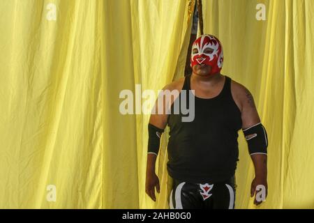 El Alto in Bolivia. 5 Novembre, 2015. Un wrestler mascherato durante la mostra di El Alto.Wrestling show di El Alto da donne in costumi tradizionali noti come 'Cholitas'' denigratori la frase contro la donna boliviana che con questa mostra intende rivalutare l identità e il ruolo importante delle donne nella società dimostrando che essi possono combattere lo stesso e anche meglio di ragazzi. Credito: Alvaro Fuente SOPA/images/ZUMA filo/Alamy Live News Foto Stock