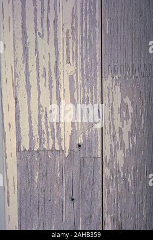 Vecchio rustico in legno stagionato bianco rivestimento della porta su una casa Foto Stock