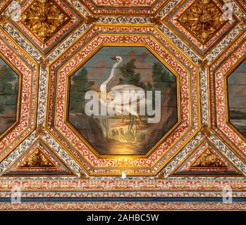 Sintra, Portogallo - 21 August 2019: Oca indossando una corona sul tetto interno del Palazzo Nazionale di Sintra vicino a Lisbona Foto Stock