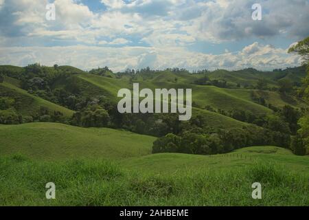 Lussureggiante paesaggio verde in la Caretera "caffè zona' Filandia, Colombia Foto Stock
