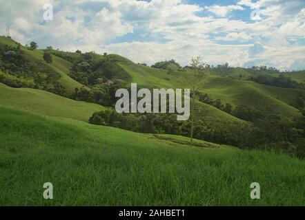 Lussureggiante paesaggio verde in la Caretera "caffè zona' Filandia, Colombia Foto Stock