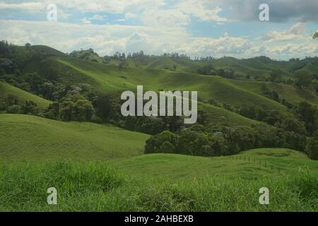 Lussureggiante paesaggio verde in la Caretera "caffè zona' Filandia, Colombia Foto Stock