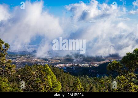 Spagna, Tenerife, bella vista al di sopra di Green Tree Tops nelle montagne vicino vulcano Teide con oscura pioggia nuvole come nebbia e cielo blu al di sopra di una montagna Foto Stock