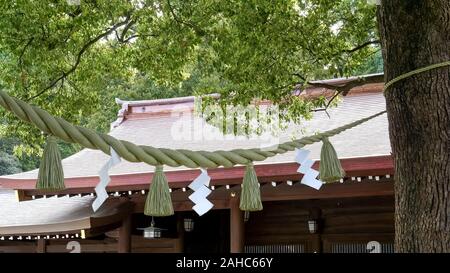 Corda tra due alberi al tempio di Meiji a Tokyo Foto Stock