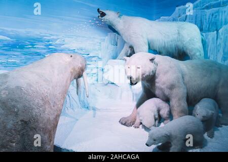 Bucarest, Romania - Dic 15, 2019: ripiene diorama della fauna selvatica all'interno Grigore Antipa Museo Nazionale di Storia Naturale di Bucarest Romania Foto Stock