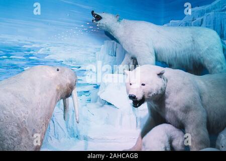 Bucarest, Romania - Dic 15, 2019: ripiene diorama della fauna selvatica all'interno Grigore Antipa Museo Nazionale di Storia Naturale di Bucarest Romania Foto Stock