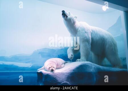 Bucarest, Romania - Dic 15, 2019: ripiene diorama della fauna selvatica all'interno Grigore Antipa Museo Nazionale di Storia Naturale di Bucarest Romania Foto Stock