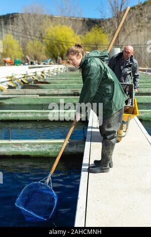 Proprietario maschio di allevamento di trote con assistente femmina per la cattura di pesce dal serbatoio all'aperto Foto Stock