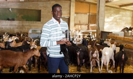 Ritratto di esperto americano africano proprietario della fattoria di capre cercando dopo poco capre Foto Stock